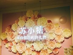 -苏小糖(鼓浪屿三丘田花园店)