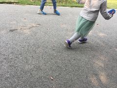 -荷塘月色湿地公园·向阳花洲