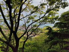 -信号山公园
