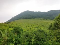 -白草畔自然风景区