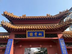 -桃花堤公园
