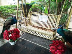 -西双版纳融创皇冠假日度假酒店