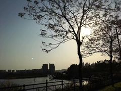 -惠州白鹭湖雅居乐喜来登度假酒店-盛宴标帜西餐厅