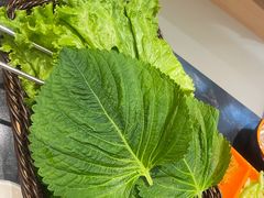 苏子叶-老熟人烤肉城(马家堡店)
