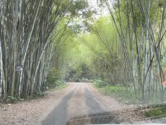 -海南热带野生动植物园