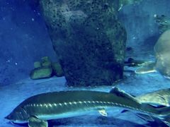 -多彩贵州城极地海洋世界