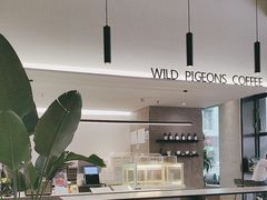 -野鸽子咖啡(中航店)