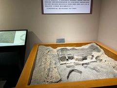 -洛阳周王城天子驾六博物馆