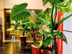 -同喜烤鸭店(光芒店)