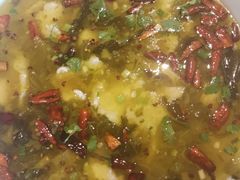 -周鱼小馆石锅酸菜鱼(活力汇店)