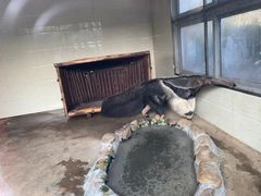 -杭州野生动物世界