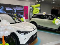 -上海浦东smart汽车全功能店(金桥店)