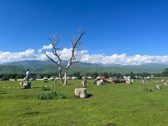 -新疆那拉提国家旅游度假区