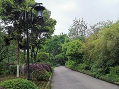 -大渡口区义渡公园