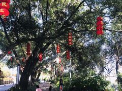 -广州市石门国家森林公园