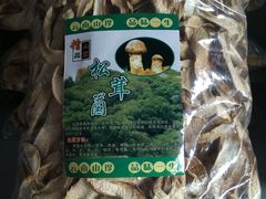 -蘑统田下·野生菌火锅