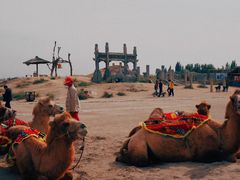 -镇北堡西部影城