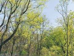 -西湖风景区-江洋畈生态公园