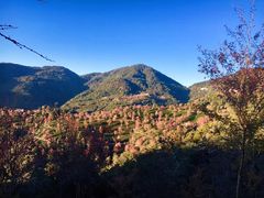 -无量山自然风景保护区