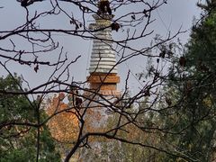 -颐和园