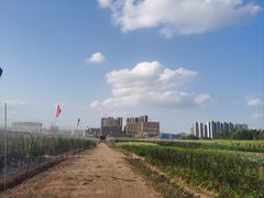 -光明小镇欢乐田园