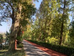 -上海长兴岛郊野公园