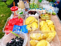 -吴淞炮台湾湿地森林公园烧烤区