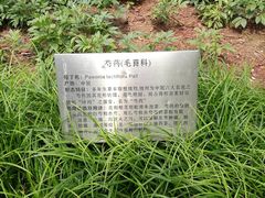 -丰台花园