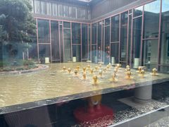 -上海崇明金茂凯悦酒店