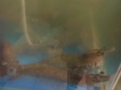 -2048香辣虾(七星岗店)