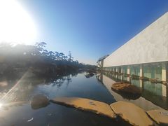 -罗红摄影艺术馆