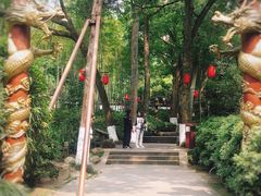 -杭州黄龙洞
