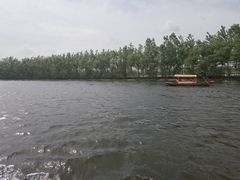 -白洋淀景区