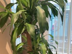 -金河半岛园林酒家(金融城店)