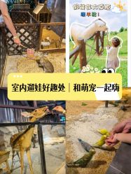 -酷嗒动物文化乐园(cutezoo西溪乐天城店)