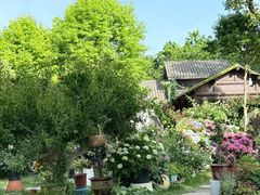 -贡湖湾湿地公园