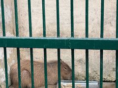 -揭东万竹园旅游景区