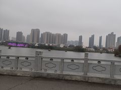 -洋湖国家湿地公园