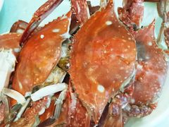 -金海湾海鲜排档(朱家尖店)