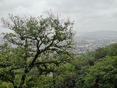 -灵岩山风景区