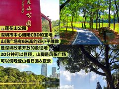 -莲花山公园