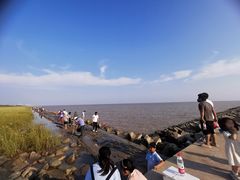 -碧海金沙