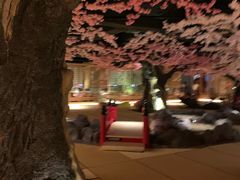 -蓝鲸湾汤泉(包河店)