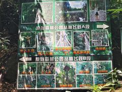 -西双版纳原始森林公园