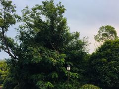 -浙江安吉JW万豪酒店·万豪中餐厅