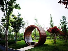 -溱湖国家湿地公园