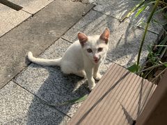 -苏州河梦清园环保主题公园