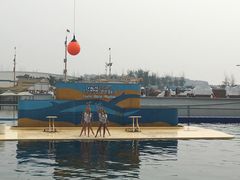 -秦皇岛乐岛海洋王国