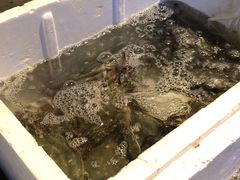 -眼镜哥浦江夜宵大本营