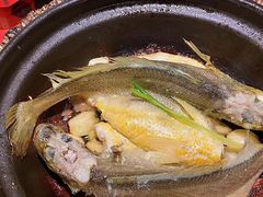 金榜黄花鱼-恭喜上堓砂锅焗·海鲜大排档(闵行龙湖店)
